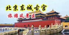 肛交偷窥视频网页中国北京-东城古宫旅游风景区